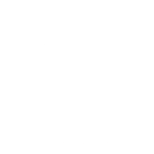 Logo Personal Fitness Coach Flamemotions